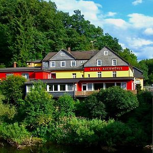 Hotel Auermühle